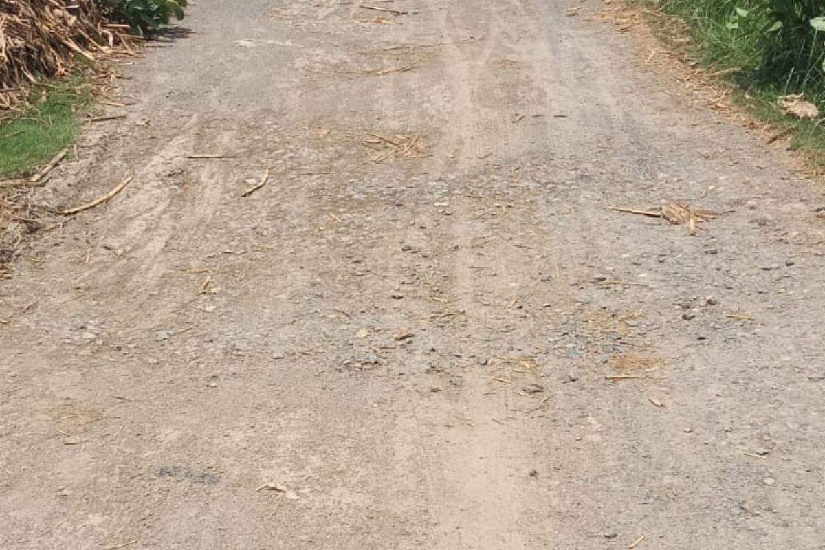 20 साल से बदहाल है बदला घाट स्टेशन की सड़क, बारिश में पैदल चलना भी मुश्किल