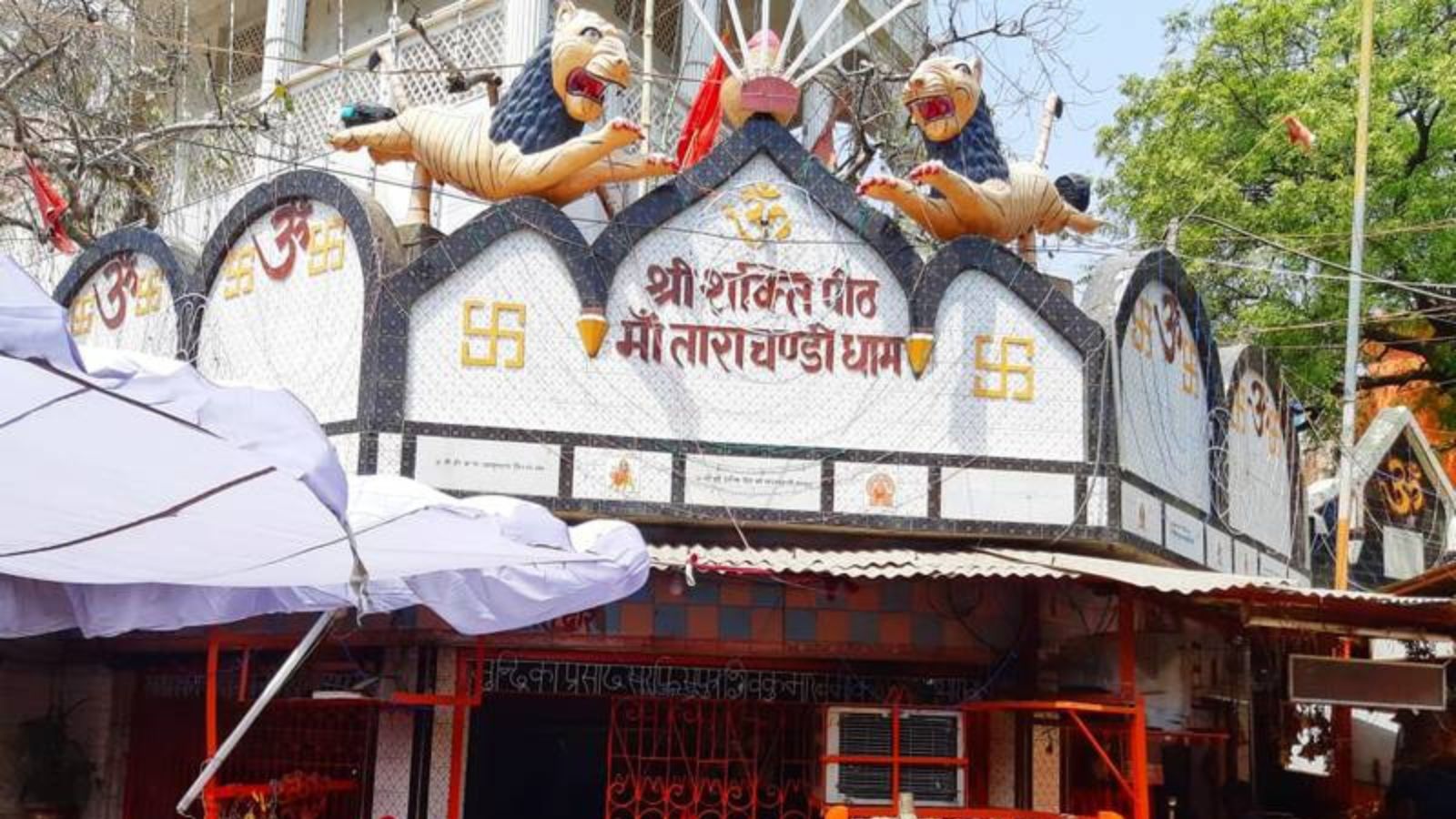 शेरों की पहरेदारी में मां ताराचंडी का दरबार, आस्था का अनोखा रंग