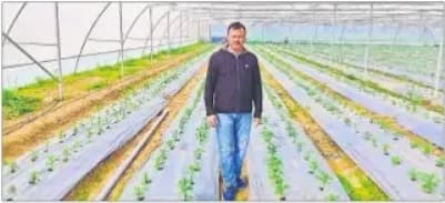 अब धान के कटोरे से छलकेगा ‘हरा सोना’, परंपरागत फसल से इतर नयी फसल की खेती से कमा रहे किसान