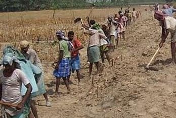 मनरेगा के तहत रोजगार मिलने से प्रवासियों की मुस्कुरा रही है जिंदगी