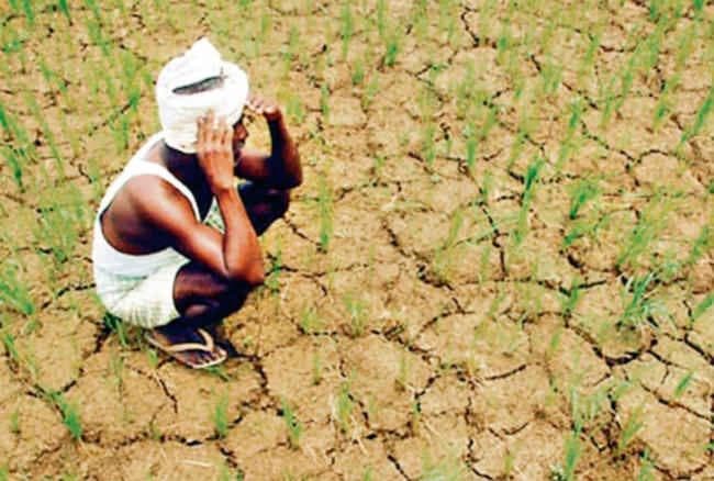 झारखंड में सूखे से 15 लाख से अधिक किसान प्रभावित, 17 जिलों के 158 प्रखंड हैं सूखाग्रस्त, ये है पूरी लिस्ट