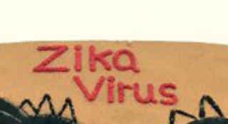 कोलंबिया : 3,177 गर्भवती महिलाएं जीका से संक्रमित