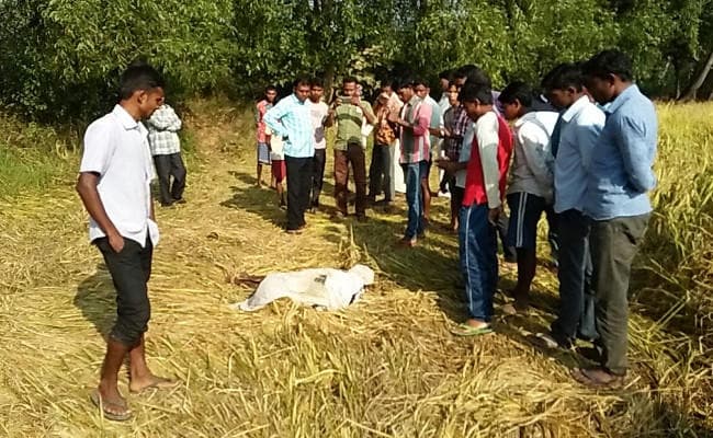 हाथियों का आतंक : ईचागढ़ में एक को कुचला, टंडवा में घर तोड़ा, फसलें रौंदी
