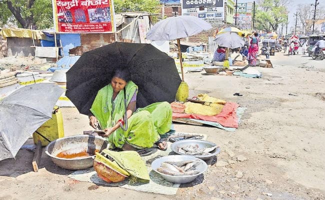 …तो रांची के बाजारों से गायब हो जायेंगी मछलियां! …तो रांची के बाजारों से गायब हो जायेंगी मछलियां!