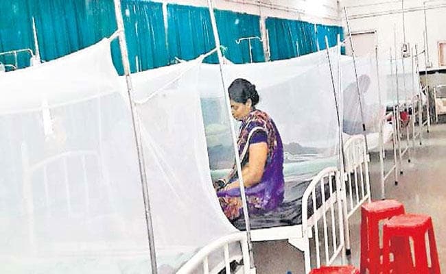 बरसात के मौसम में बढ़ा मच्छर जनित बीमारियों को प्रकोप, डेंगू और मलेरिया के मरीजों से भरा रिम्स का आइसोलेशन वार्ड बरसात के मौसम में बढ़ा मच्छर जनित बीमारियों को प्रकोप, डेंगू और मलेरिया के मरीजों से भरा रिम्स का आइसोलेशन वार्ड
