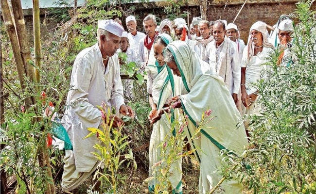 दुर्लभ सत्याग्रही समुदाय और दुनिया की खूबसूरत प्रार्थना