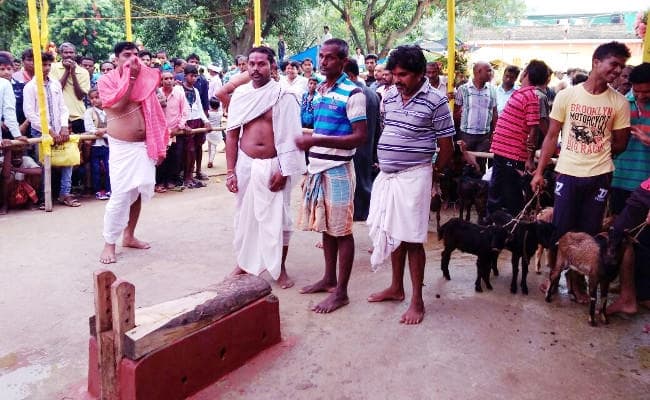 Jharkhand : अनगड़ा के 107 साल पुराने मंदिर में हर साल होती है 400 बकरों की बलि, देवघरिया ब्राह्मण ने की थी मंदिर की स्थापना