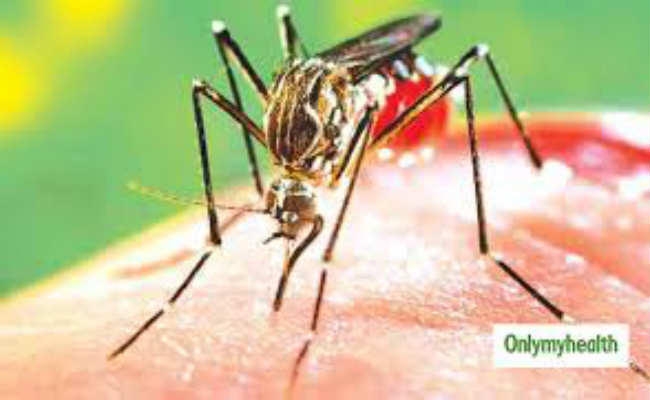 डेंगू ने एक बार फिर से शहर में दी दस्तक, युवक की मौत से फैली दहशत