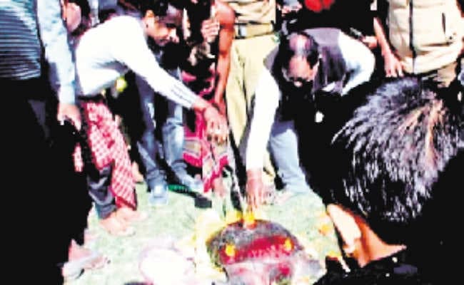 जलपाईगुड़ी : इस जानवर को देखकर चौक गये सभी, इलाज के बाद मुजनई नदी में वनकर्मियों ने छोड़ा