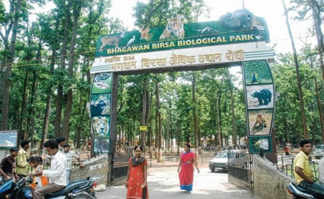 बर्ड फ्लू को लेकर हाइ एलर्ट पर ओरमांझी जू