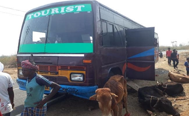Jharkhand : टूरिस्ट बस से दुमका के रास्ते हो रही थी मवेशी की तस्करी, देखें PICS
