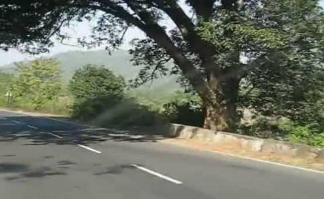 14 लाख से बनी सड़क, अब फिर खर्च होंगे 50 लाख
