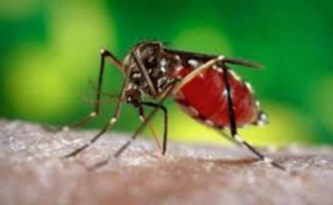 मेडिकल कॉलेज में चार को डेंगू