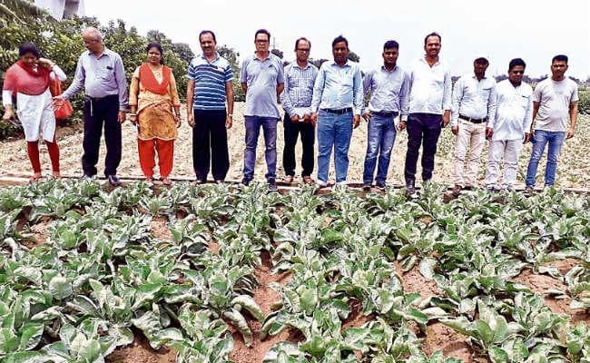 बिहारशरीफ : खेती के टिप्स जानने कृषि वैज्ञानिक पहुंचे नालंदा