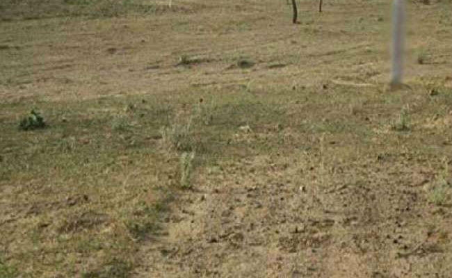 रांची : आवासीय कॉलोनी बनाने की तैयारी, आवास बोर्ड ने मांगी 136 एकड़ जमीन
