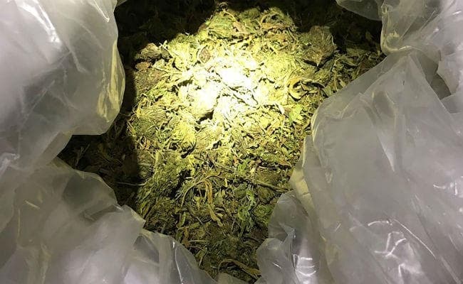 ट्रक से 391 किलो गांजा जब्त, पांच गिरफ्तार