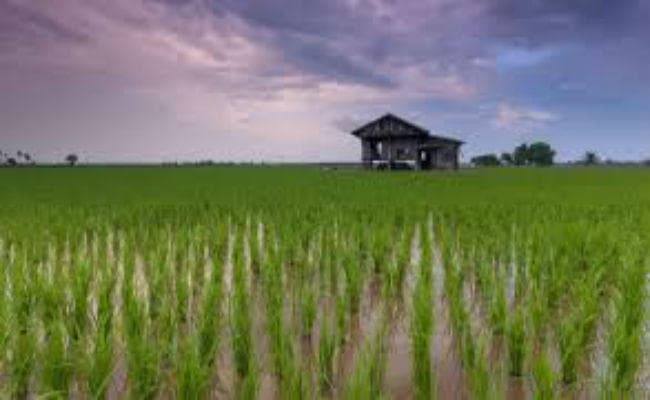 हर खेत को पानी के सुंदर सपने को पूरा करने में सावधानी जरूरी