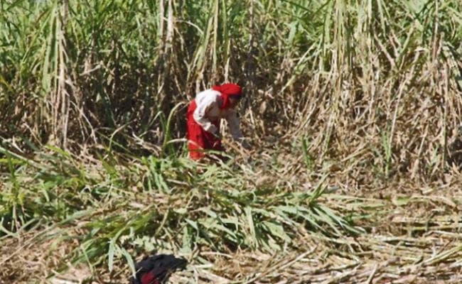 गोपालगंज : आचार संहिता की भेंट चढ़ गयीं कई योजनाएं, दलों से जनता तक विकास के मुद्दे अहम