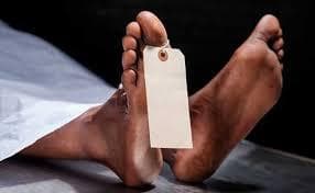 आम बागान से दो शव बरामद