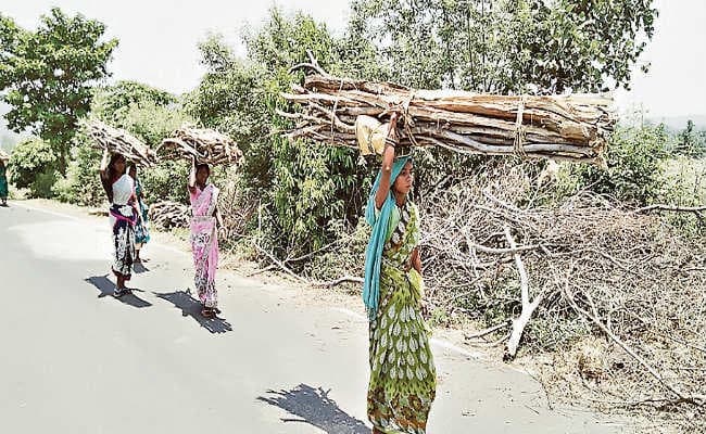 मनरेगा योजना में नहीं मिल रहा रोजगार, लकड़ियां बेचने को विवश हैं महिलाएं