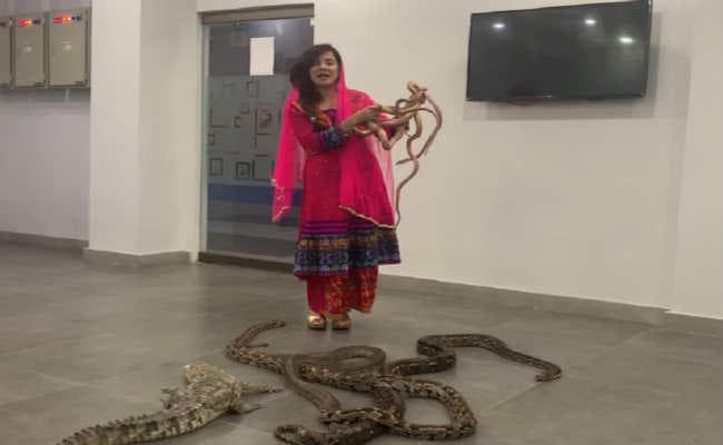 अब पाकिस्तानी एक्ट्रेस राबी ने कहा- पीएम मोदी को सांपों से कटवाऊंगी, वीडियो में नौटंकी देख कर छुटेगी हंसेगी