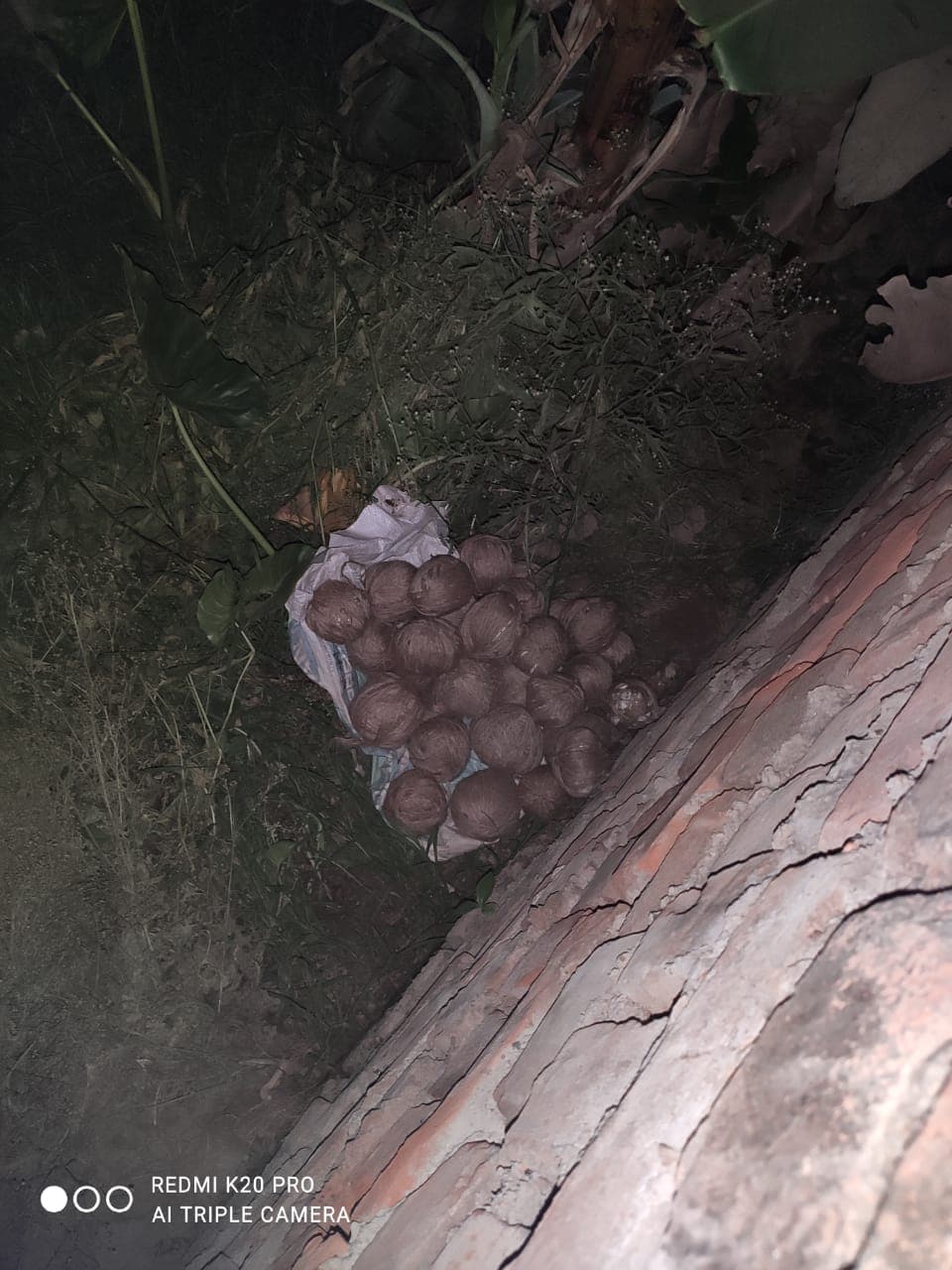 तीसरे चरण के चुनाव से पहले दक्षिण 24 परगना से 41 क्रूड बम बरामद, जांच में जुटी पुलिस तीसरे चरण के चुनाव से पहले दक्षिण 24 परगना से 41 क्रूड बम बरामद, जांच में जुटी पुलिस