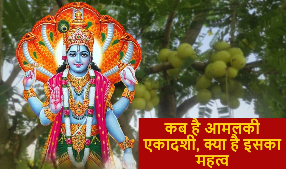 Amalaki Ekadashi 2021: 25 मार्च को इस मुहूर्त में मनायी जाएगी आमलकी एकादशी, क्यों इस दिन होती है आंवले की पूजा, क्या है विष्णु पूजा विधि, महत्व व मान्यताएं Amalaki Ekadashi 2021: 25 मार्च को इस मुहूर्त में मनायी जाएगी आमलकी एकादशी, क्यों इस दिन होती है आंवले की पूजा, क्या है विष्णु पूजा विधि, महत्व व मान्यताएं