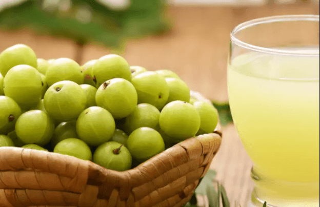Amla Benefits: इन 6 तरीकों से करें आंवले का प्रयोग, जानें पेट संबंधित रोग से वजन कम करने और कैंसर तक में कितना है लाभदायक Amla Benefits: इन 6 तरीकों से करें आंवले का प्रयोग, जानें पेट संबंधित रोग से वजन कम करने और कैंसर तक में कितना है लाभदायक