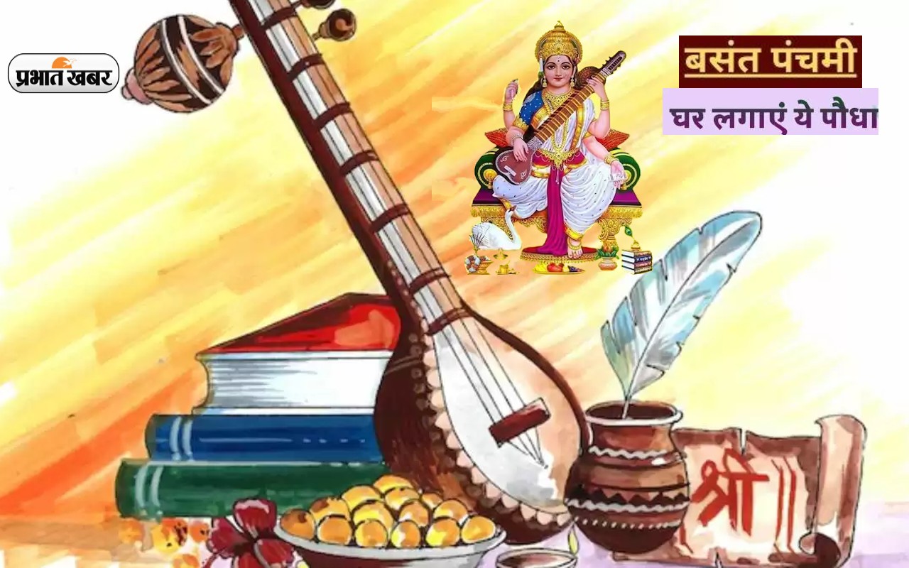 Basant Panchami 2023 के दिन लगाएं ये पौधा, बरसेगी देवी मां की कृपा Basant Panchami 2023 के दिन लगाएं ये पौधा, बरसेगी देवी मां की कृपा