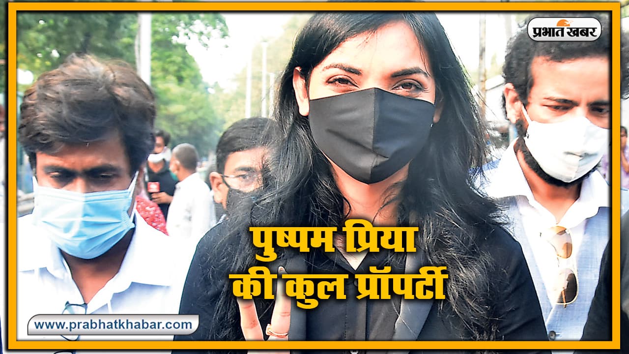 Bihar Election 2020 : प्लूरल्स पार्टी की पुष्पम प्रिया के पास 8 लाख की अंगूठी के अलावा प्रॉपर्टी में और क्या है खास, देखें पूरी डिटेल Bihar Election 2020 : प्लूरल्स पार्टी की पुष्पम प्रिया के पास 8 लाख की अंगूठी के अलावा प्रॉपर्टी में और क्या है खास, देखें पूरी डिटेल