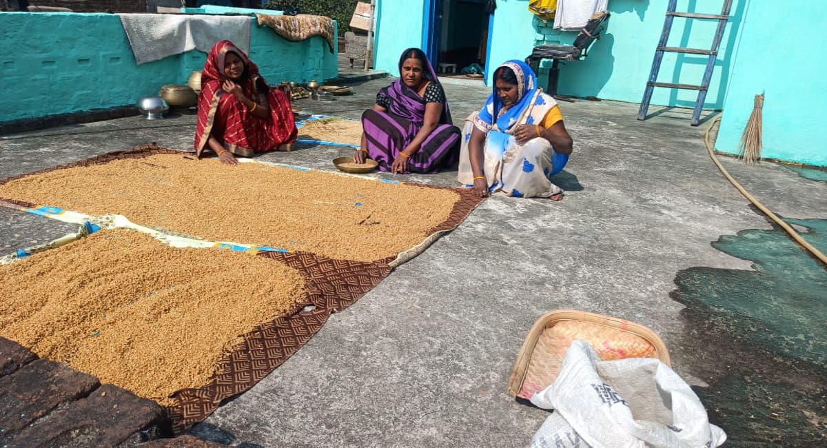 झारखंड के गांवों में पैसरा धान से खीर बनाने की परंपरा आज भी जारी, 8 नवंबर से महापर्व छठ की शुरुआत झारखंड के गांवों में पैसरा धान से खीर बनाने की परंपरा आज भी जारी, 8 नवंबर से महापर्व छठ की शुरुआत