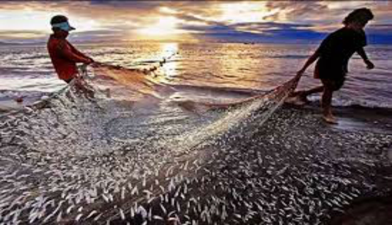 Fisheries: मत्स्य पालन को बढ़ावा देने के लिए शुरू होगा प्रधानमंत्री मत्स्य किसान समृद्धि सह-योजना