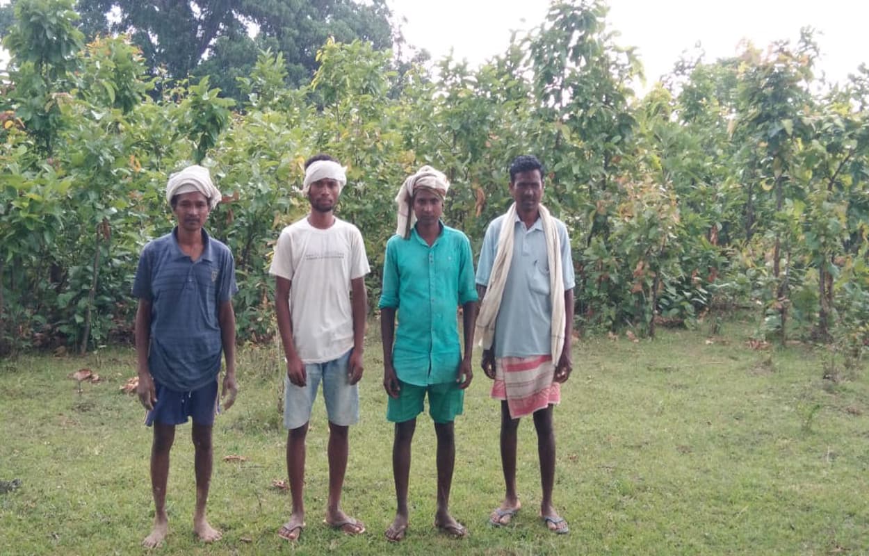 World Environment Day 2020 : गुमला के 5 किसानों की मेहनत लायी रंग, बेकार पड़ी 6 एकड़ जमीन पर छायी हरियाली