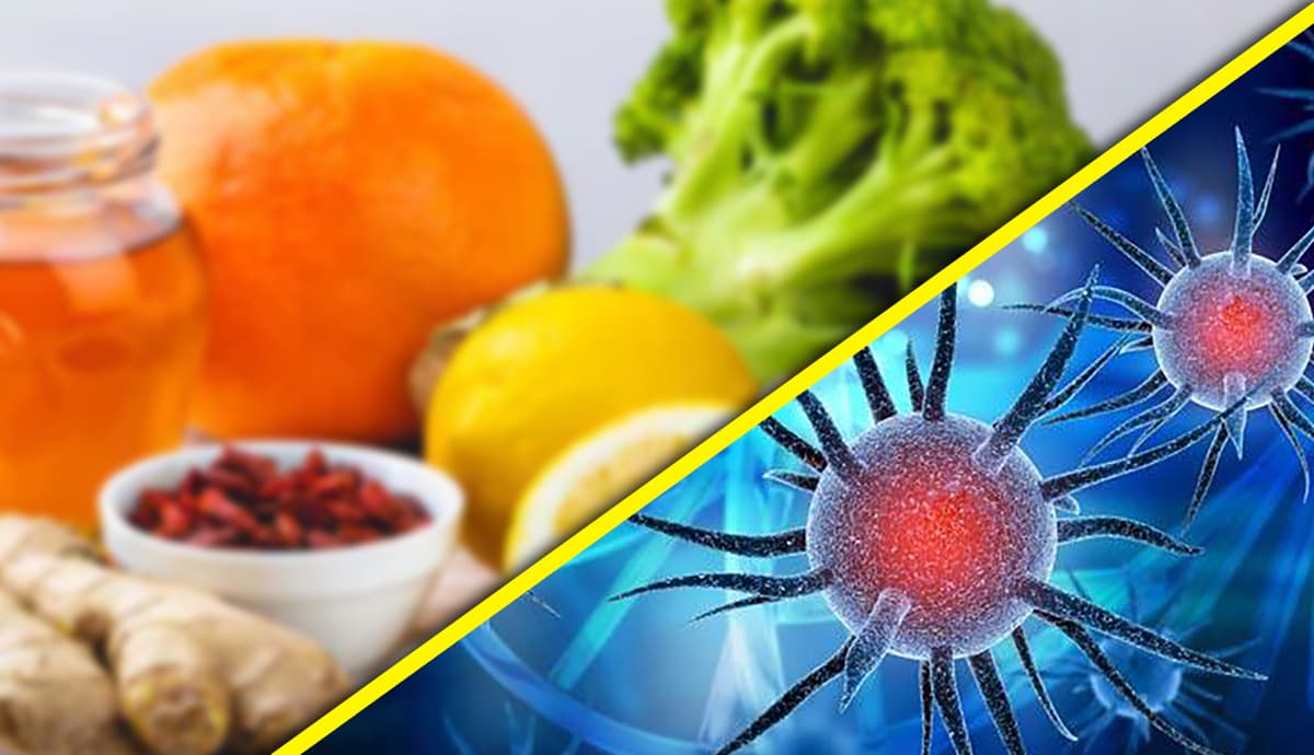 Health News: कोरोना काल में कैसा हो आपका डाइट, किन फूड सामग्रियों से करना होगा परहेज, जानें सबकुछ Health News: कोरोना काल में कैसा हो आपका डाइट, किन फूड सामग्रियों से करना होगा परहेज, जानें सबकुछ