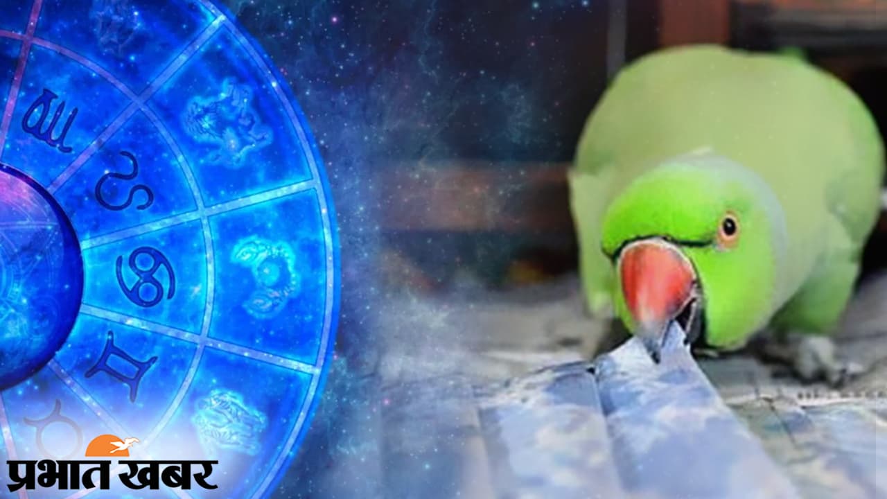 Bihar Election 2020: नतीजों की भविष्यवाणी नहीं करेंगे ‘तोते’, आयोग ने ज्योतिषियों, टैरो कार्ड रीडिंग पर भी लगाई रोक Bihar Election 2020: नतीजों की भविष्यवाणी नहीं करेंगे ‘तोते’, आयोग ने ज्योतिषियों, टैरो कार्ड रीडिंग पर भी लगाई रोक