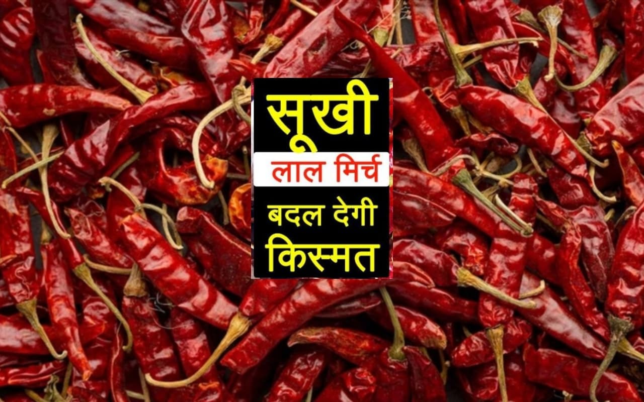 Astrology Tips: लाल मिर्च के चमत्कारी उपाय से दूर हो जायेंगे संकट, मिलेगी सफलता Astrology Tips: लाल मिर्च के चमत्कारी उपाय से दूर हो जायेंगे संकट, मिलेगी सफलता