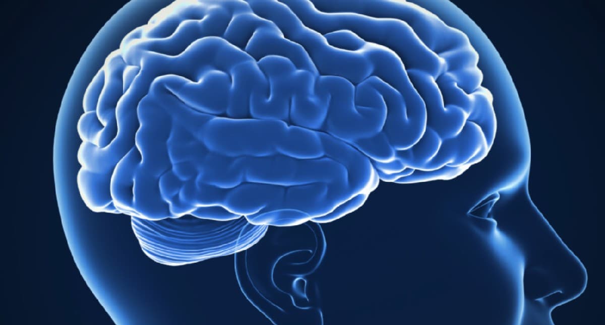 Ways To Improve Memory:मेडिटेशन, नींद समेत इन प्राकृतिक उपायों से याददाश्त बढ़ाने में मिलती है मदद, जानें Ways To Improve Memory:मेडिटेशन, नींद समेत इन प्राकृतिक उपायों से याददाश्त बढ़ाने में मिलती है मदद, जानें