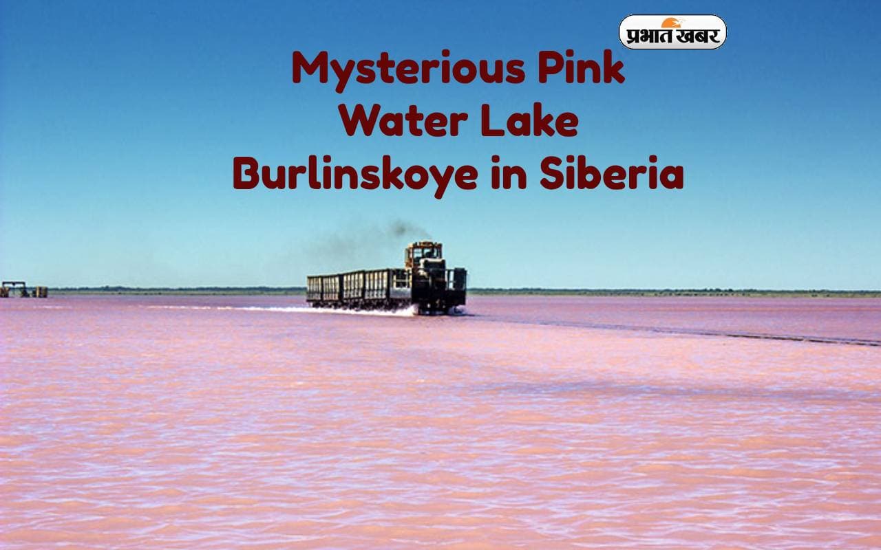 Mysterious Pink Lake Burlinskoye: गुलाबी है इस रहस्यमयी झील का पानी, Tourists के लिए बना आकर्षण का केंद्र Mysterious Pink Lake Burlinskoye: गुलाबी है इस रहस्यमयी झील का पानी, Tourists के लिए बना आकर्षण का केंद्र