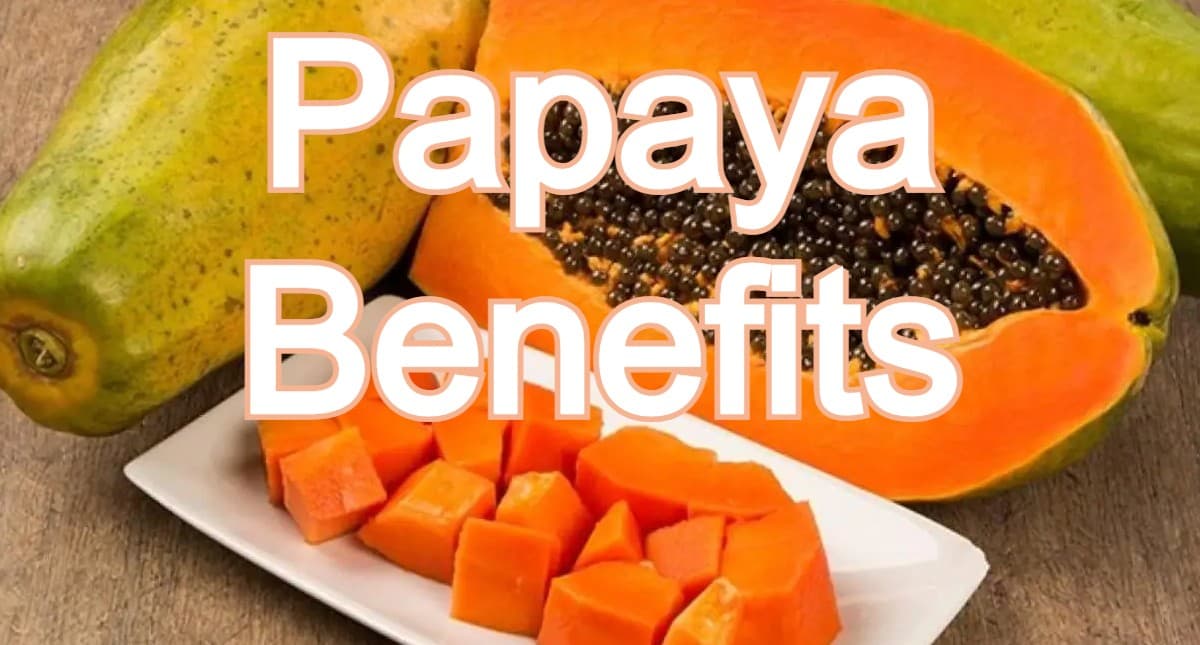 Papaya Benefits: पाचन ठीक रखने से लेकर इम्यूनिटी बढ़ाने तक में पपीता फायदेमंद है, जानें इसे खाने के फायदे Papaya Benefits: पाचन ठीक रखने से लेकर इम्यूनिटी बढ़ाने तक में पपीता फायदेमंद है, जानें इसे खाने के फायदे