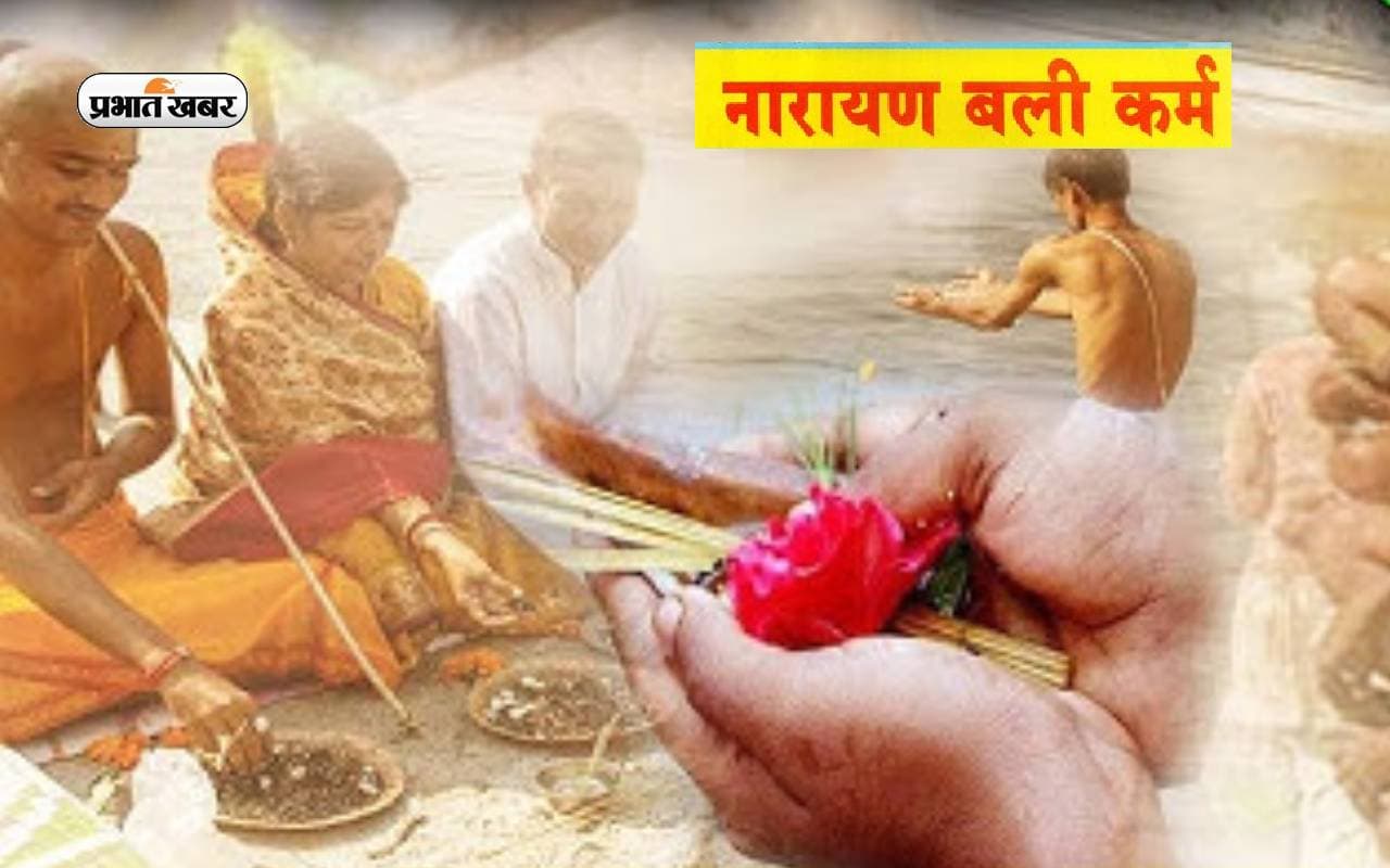Pitru Paksha 2023: पितृदोष निवारण के लिए करें नारायणबलि-नागबलि कर्म, जानें महत्व Pitru Paksha 2023: पितृदोष निवारण के लिए करें नारायणबलि-नागबलि कर्म, जानें महत्व