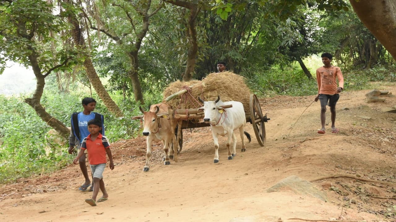 ग्राम स्वराज का विस्तार