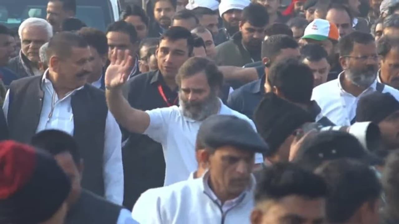 हरियाणा में राहुल की भारत जोड़ो यात्रा के दूसरे दिन का सफर नूंह के मलाब से शुरू, लखवास सोहना में विश्राम हरियाणा में राहुल की भारत जोड़ो यात्रा के दूसरे दिन का सफर नूंह के मलाब से शुरू, लखवास सोहना में विश्राम