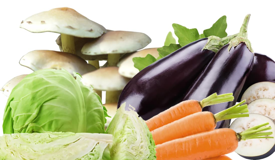 Health News: गाजर, मशरूम, चुकंदर, पत्ता गोभी समेत इन सब्जियों को कच्चा या ज्यादा मात्रा में खाने से सेहत को हो सकता है भारी नुकसान, इन रोगों के हो सकते है शिकार Health News: गाजर, मशरूम, चुकंदर, पत्ता गोभी समेत इन सब्जियों को कच्चा या ज्यादा मात्रा में खाने से सेहत को हो सकता है भारी नुकसान, इन रोगों के हो सकते है शिकार