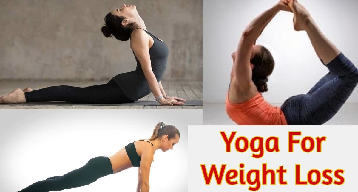 Yoga For Weight Loss: बेली फैट कम करने के लिए करें ये योग आसन Yoga For Weight Loss: बेली फैट कम करने के लिए करें ये योग आसन