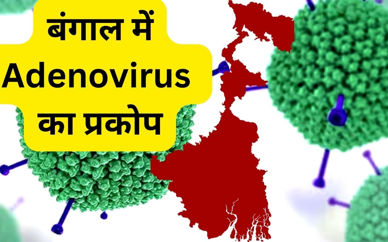 एडिनो वायरस के मामले में देश में बंगाल शीर्ष पर, राज्य में जनवरी से नौ मार्च तक 38% बच्चे हुए संक्रमित एडिनो वायरस के मामले में देश में बंगाल शीर्ष पर, राज्य में जनवरी से नौ मार्च तक 38% बच्चे हुए संक्रमित