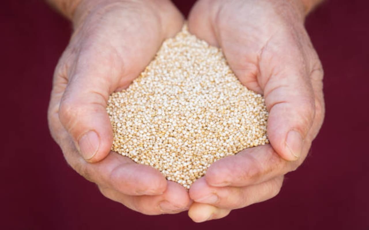 National Nutrition Week 2023 : फाइबर से भरपूर प्रोटीन का पावरहाउस है ये सुपरफूड, फायदे देख दंग हो जाएंगे National Nutrition Week 2023 : फाइबर से भरपूर प्रोटीन का पावरहाउस है ये सुपरफूड, फायदे देख दंग हो जाएंगे