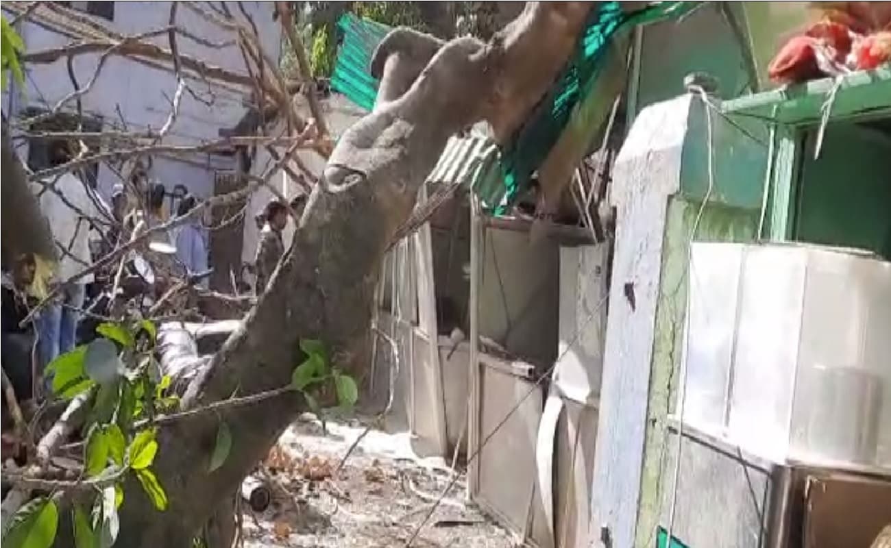 PMCH इमरजेंसी वार्ड के पास गिरा पेड़, रजिस्ट्रेशन काउंटर ध्वस्त, कई लोग घायल PMCH इमरजेंसी वार्ड के पास गिरा पेड़, रजिस्ट्रेशन काउंटर ध्वस्त, कई लोग घायल