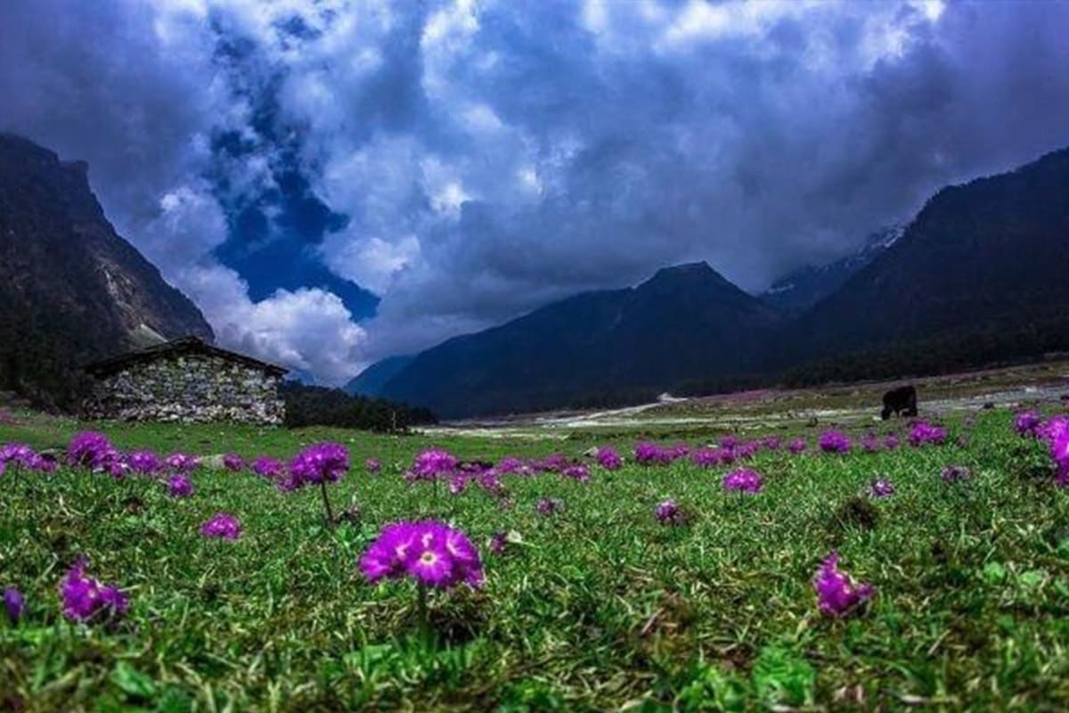 शिलांग में घूमने के लिए सबसे खूबसूरत जगह, यहां देखिए