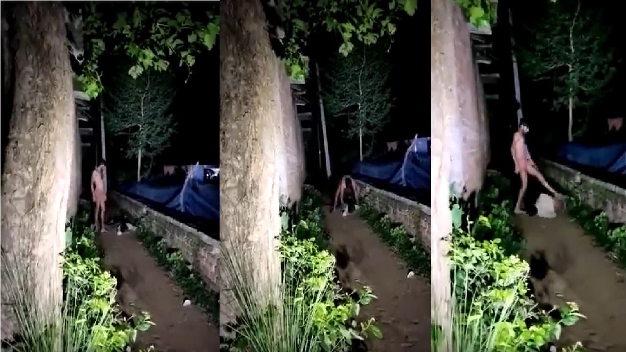 Video : बक्सर में जुए के लिए नहीं दिया पैसा तो दोस्त ने पीट कर किया अधमरा, अस्पताल में चल रहा इलाज Video : बक्सर में जुए के लिए नहीं दिया पैसा तो दोस्त ने पीट कर किया अधमरा, अस्पताल में चल रहा इलाज