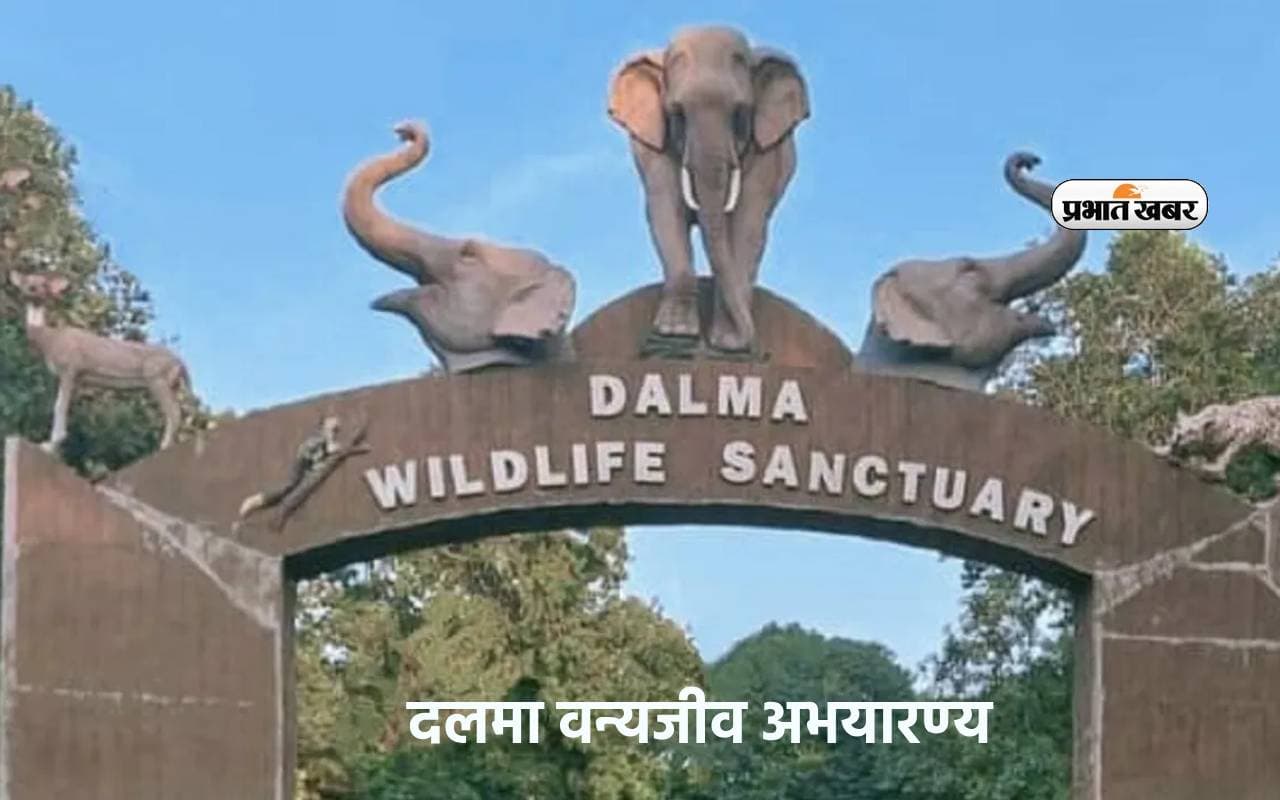 अगर करना चाहते हैं Dalma Wildlife Sanctuary को विजिट, तो जानें कब आएं यहां अगर करना चाहते हैं Dalma Wildlife Sanctuary को विजिट, तो जानें कब आएं यहां